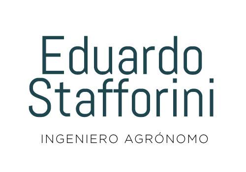 Eduardo Stafforini 